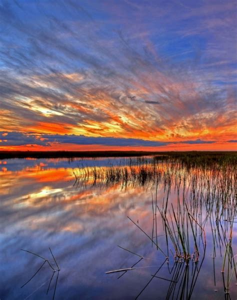 Everglades National Park | National Park Foundation