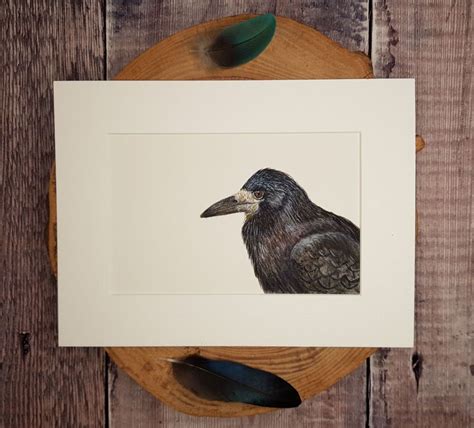 Rook Painting Original Watercolour Watercolor Art Bird Bird Painting