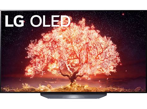 LG OLED55B19LA Daten Fragen Kaufen