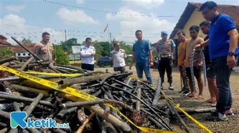 Fakta Baru Kasus Pencurian Kabel Sepanjang 2 Kilometer Di Jember