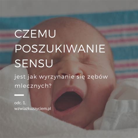 Odc Czemu Poszukiwanie Sensu Jest Jak Wyrzynanie Si Z B W