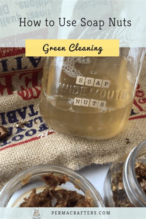 How To Use Soap Nuts For Green Cleaning And Natural Skin Care Permacrafters