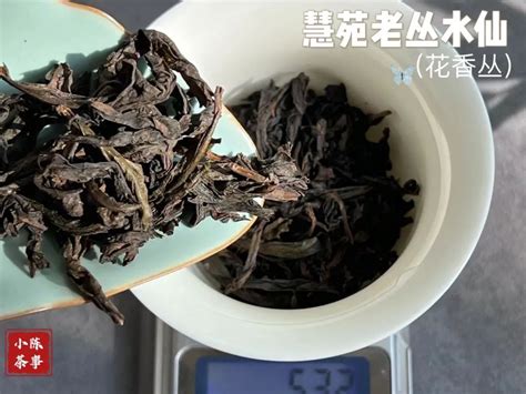 条索都没揉紧的岩茶，为什么劝你不要买？揭露背后的制茶猫腻百科ta说