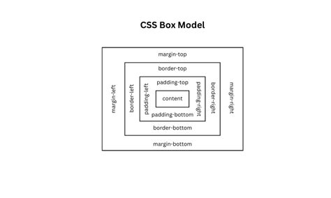 Mastering Css Margins Padding And The Box Model Shefali