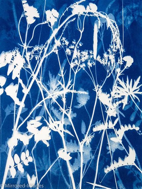 Original Unique Botanical Art Cyanotype Print Of Wildflowers