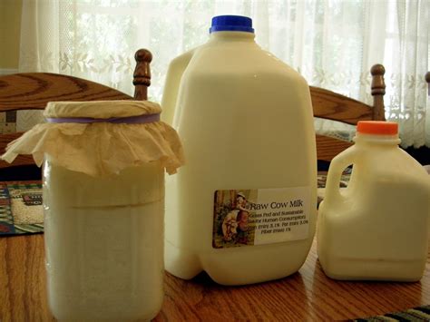 Visionary Traditionalist Raw Milk Part 1