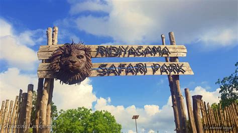 Ridiyagama Safari Park In Hambantota හම්බන්තොට රිදියගම සෆාරි උද්‍යානය