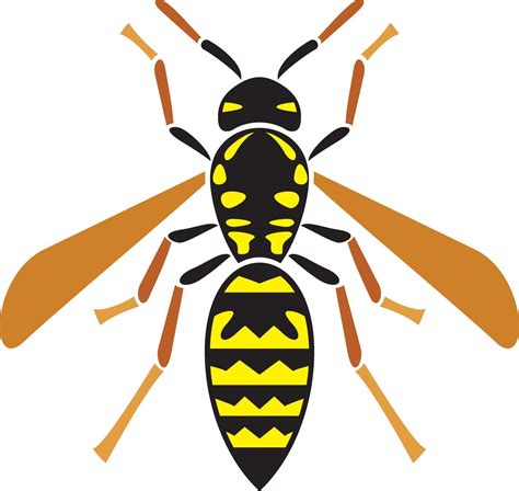 wasp insect icon 2323637 Vector Art at Vecteezy