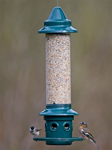 The Squirrel Buster Plus | 100% Squirrel-Proof Bird Feeder