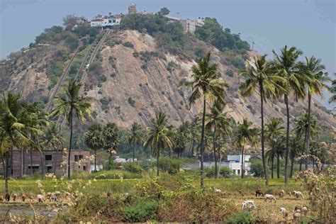 Palani Arulmigu Sri Dhandayuthapani temple timings, travel guide