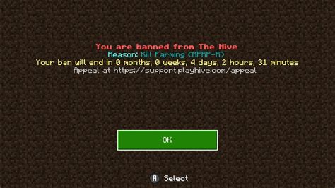 I Got BANNED From The HIVE SERVER YouTube