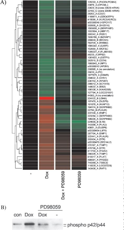 Figure From The Transcriptional Response To Raf Activation Is Almost