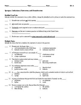 Test Biology Sponges Cnidarians Flatworms And Roundworms Tpt