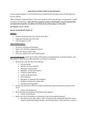 Shay Study Guide For Renal Disorders Docx Study Guide And Note