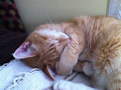 We're excited to share our new Digital Banking platform will be