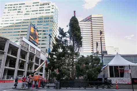 Cincinnatis Fountain Square Christmas Tree Had An Extreme Makeover