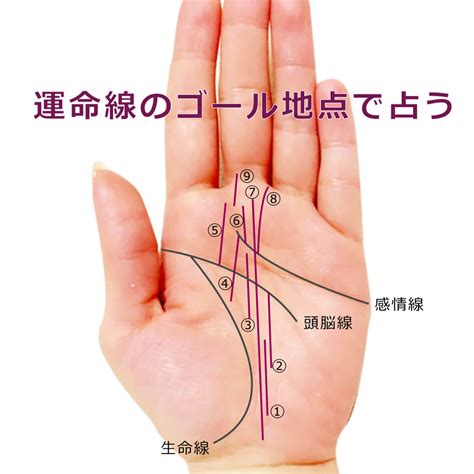 運命線が2本ある手相の見方（二重運命線） 簡単な手相の見方を伝授します