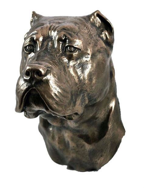 Cane Corso Popiersie Wisz Ca Statuetka Figurka Inna Marka Sklep