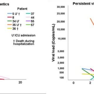 Viral Load Kinetics Curves Throughout Hospitalisation In Plasma From