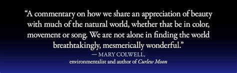Birds Sex And Beauty The Extraordinary Implications Of Charles Darwin S Strangest Idea Ridley