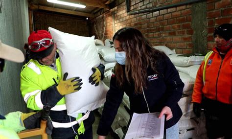 58 Usuarios Natalinos De Prodesal Recibieron Alimento Para Ganado