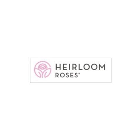 Heirloom Roses : Westerland™ – iLovehotdealz