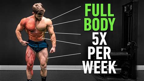 Full Body Workout 5 Days A Week Reddit