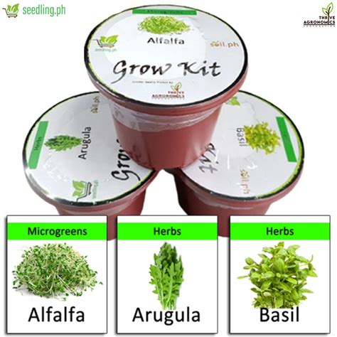 Thrive Organics Herbs 3 In 1 Grow Kit Set 1 Alfalfa Basil Arugula