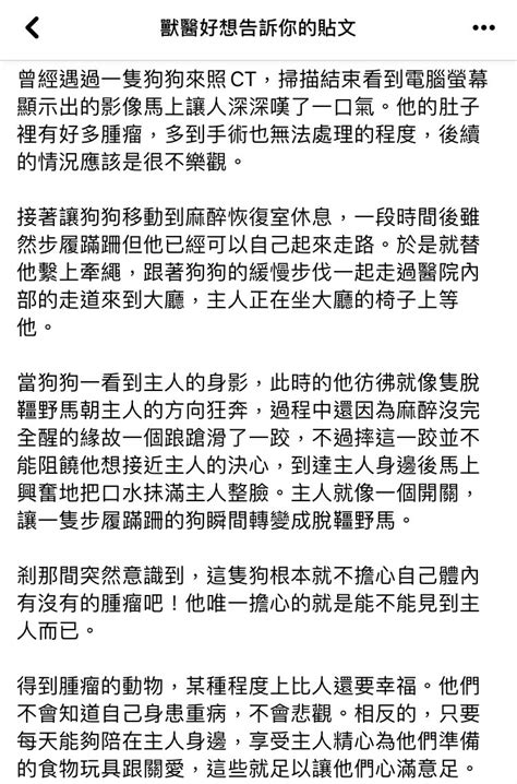 犬貓病患要乖乖💙💛 On Twitter 留言好多洋蔥（還是我對這種事情的淚點超低？