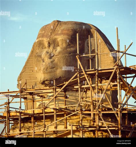 The great Sphinx of the Giza Pyramids complex undergoing restoration in ...