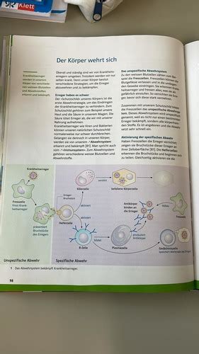 NT Krankheit Und Genese Karteikarten Quizlet