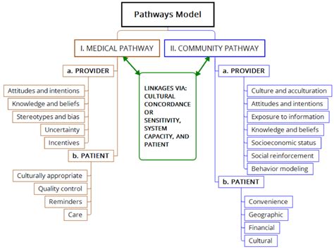 Conceptual Diagram Of The Pathways Model Of Health Delivery Which