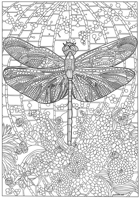 Dragonfly And Many Intricate Details Butterflies And Insects Coloring