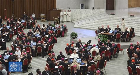 Un Sinodo Che Anima La Missione Della Chiesa Universale Con Il Carisma