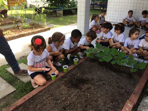 Plano De Aula Horta Educação Infantil EDUKITA