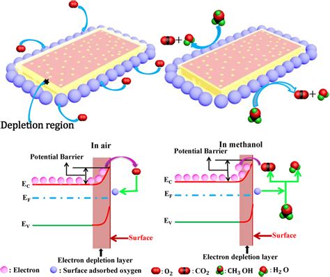 Mechanism Of Methanol Sensor A In Air And B In Methanol