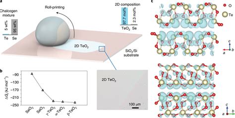 Schematic Of Tellurium Oxide Synthesis And Transfer A A Eutectic