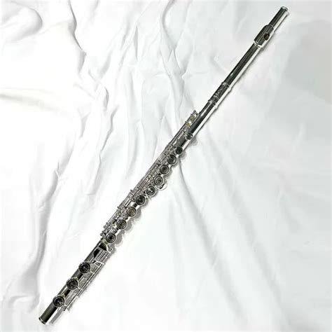 Entius Intermediate Flute with Solid Silver Headjoint and silver-plated ...