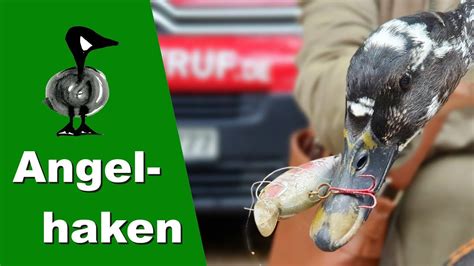 Angelhaken Tiernotruf Youtube