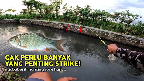 Mancing Wader Di Sungai Irigasi Mancing Ikan Marcoca Teknik Kumbul