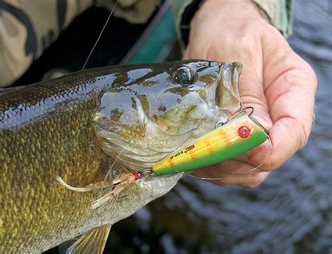 Best Smallmouth Bass Lures