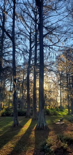 Best Hikes And Trails In Edisto Memorial Gardens Alltrails