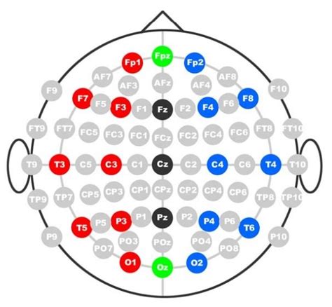 3 Top And Lateral View Of Eeg Electrode Placement According To The