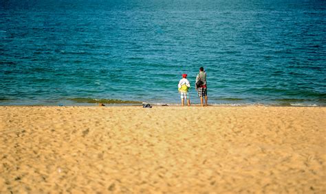 Free Photo People Sunbathing And Swimming On Seashore Beach Sand