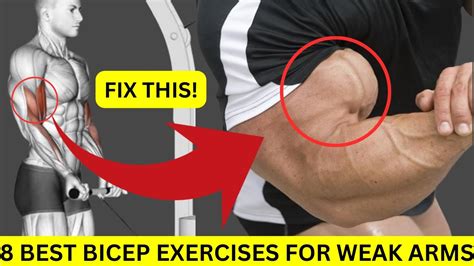 Fastest Effective Bicep Exercises For Bigger Arms Youtube