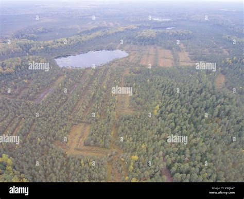 Aerial view of autumn forest Stock Photo - Alamy