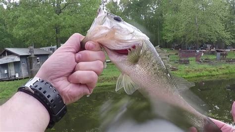 Kayak Bass Fishing Quick Trip With My Girlfriend Youtube