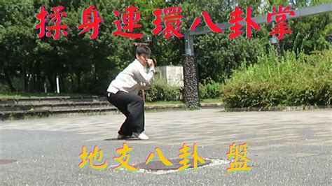 揉身連環八卦掌 地支八卦 第五段之二 盤 64 Palms Form Pan Gao Style Baguazhang YouTube