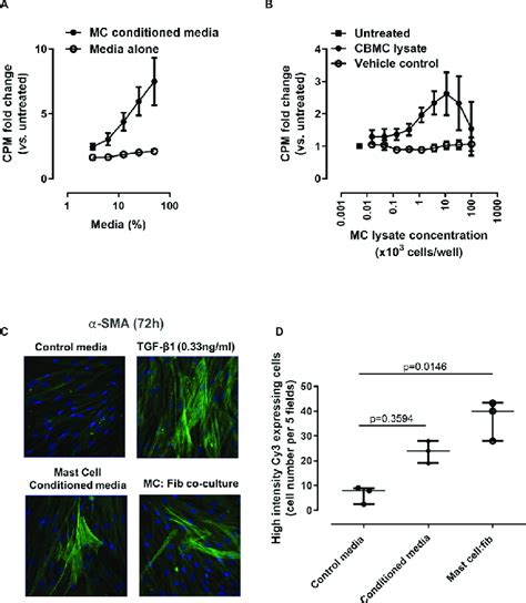 Mast Cells Mcs Induce Fibroblast Proliferation And Activation Mcs