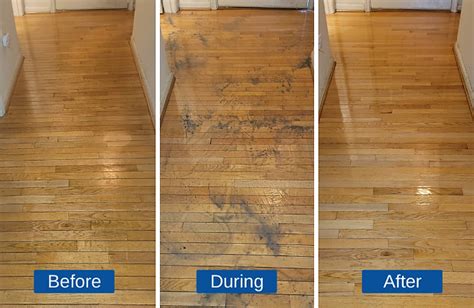 Hardwood Floor Wax Buildup Removal Flooring Guide By Cinvex